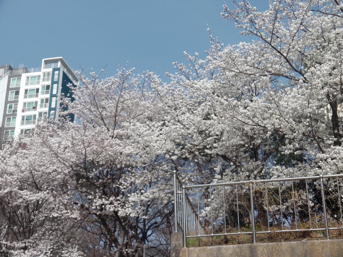 뉴진스 버블검 캠코더) 파나소닉 HX-WA10 빈티지 캠코더 상품이미지9