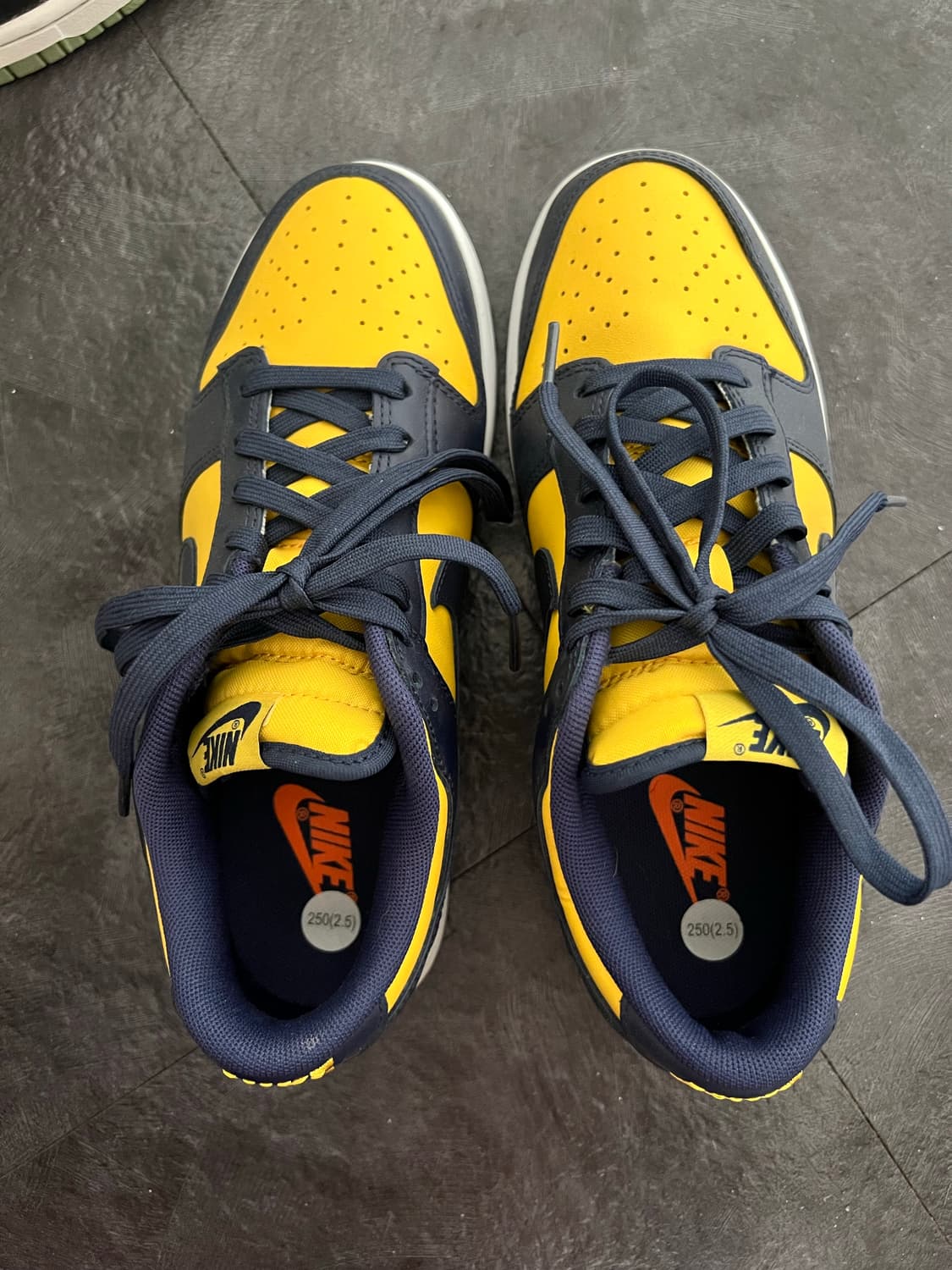 나이키 덩크 로우 바시티 메이즈 250 상품이미지2