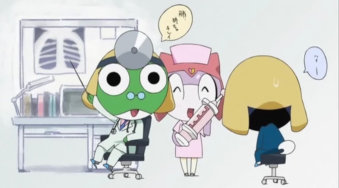 가이땅 상품이미지1