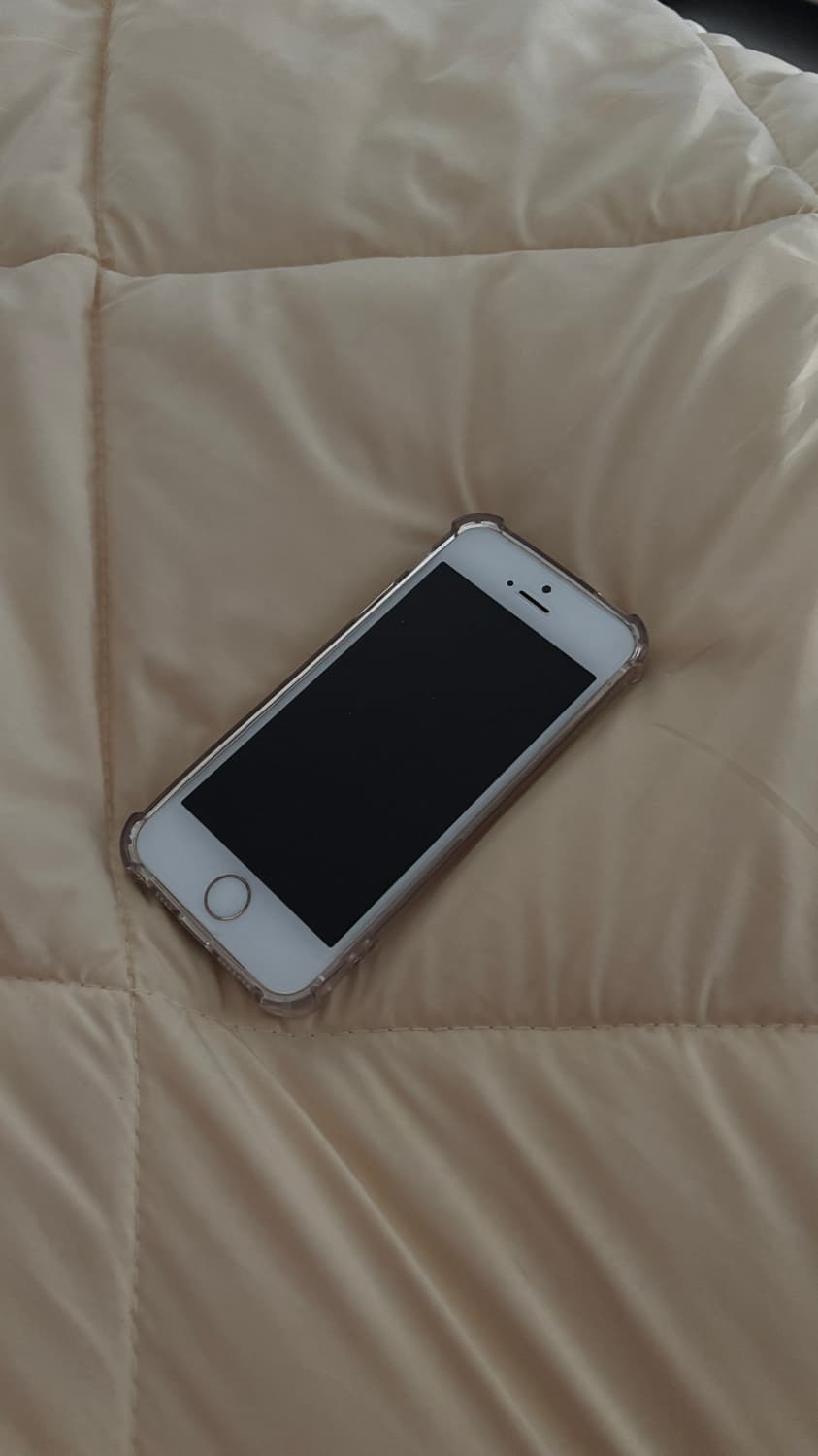 아이폰5s 골드 상품이미지2