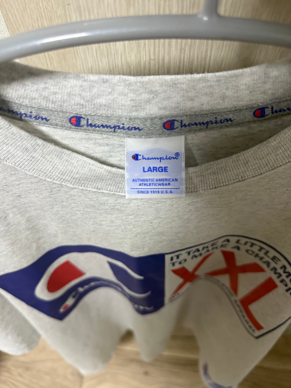 챔피온 그래픽 반팔L 상품이미지2