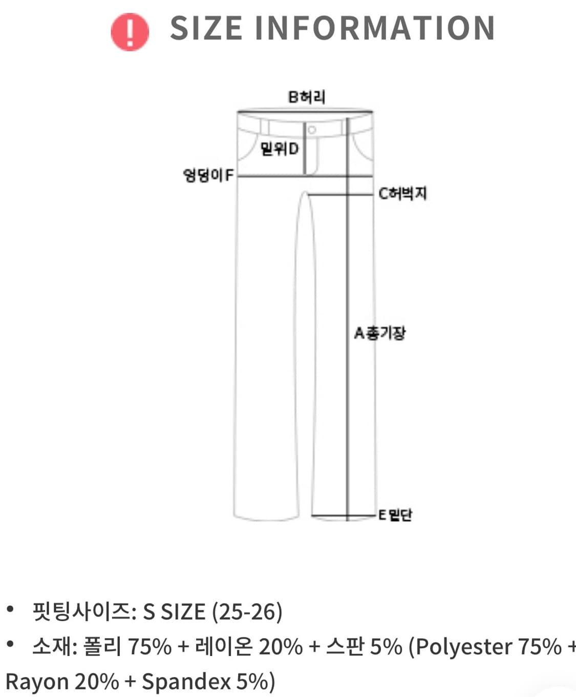 L사이즈 핫핑 핀턱 와이드 슬랙스 차콜 상품이미지6