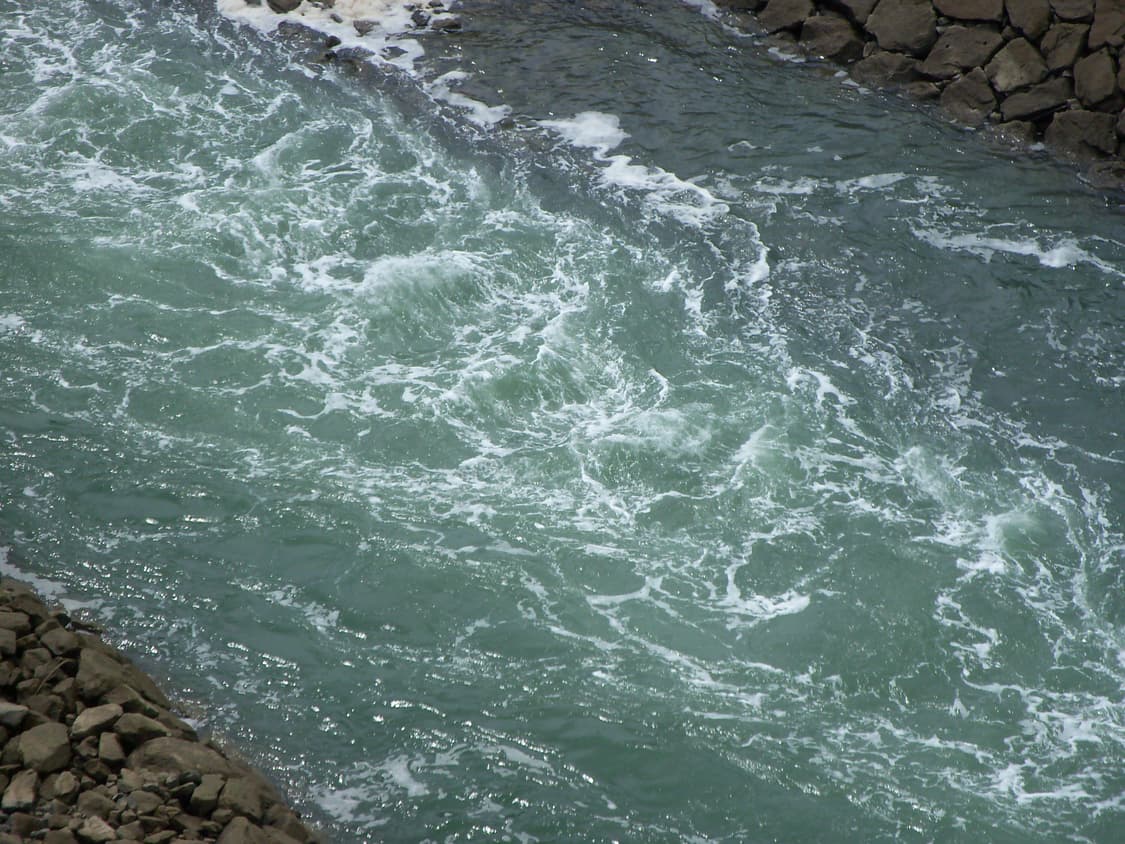 코닥 이지쉐어 C190 / Kodak EasyShare C190 (작례) 상품이미지5