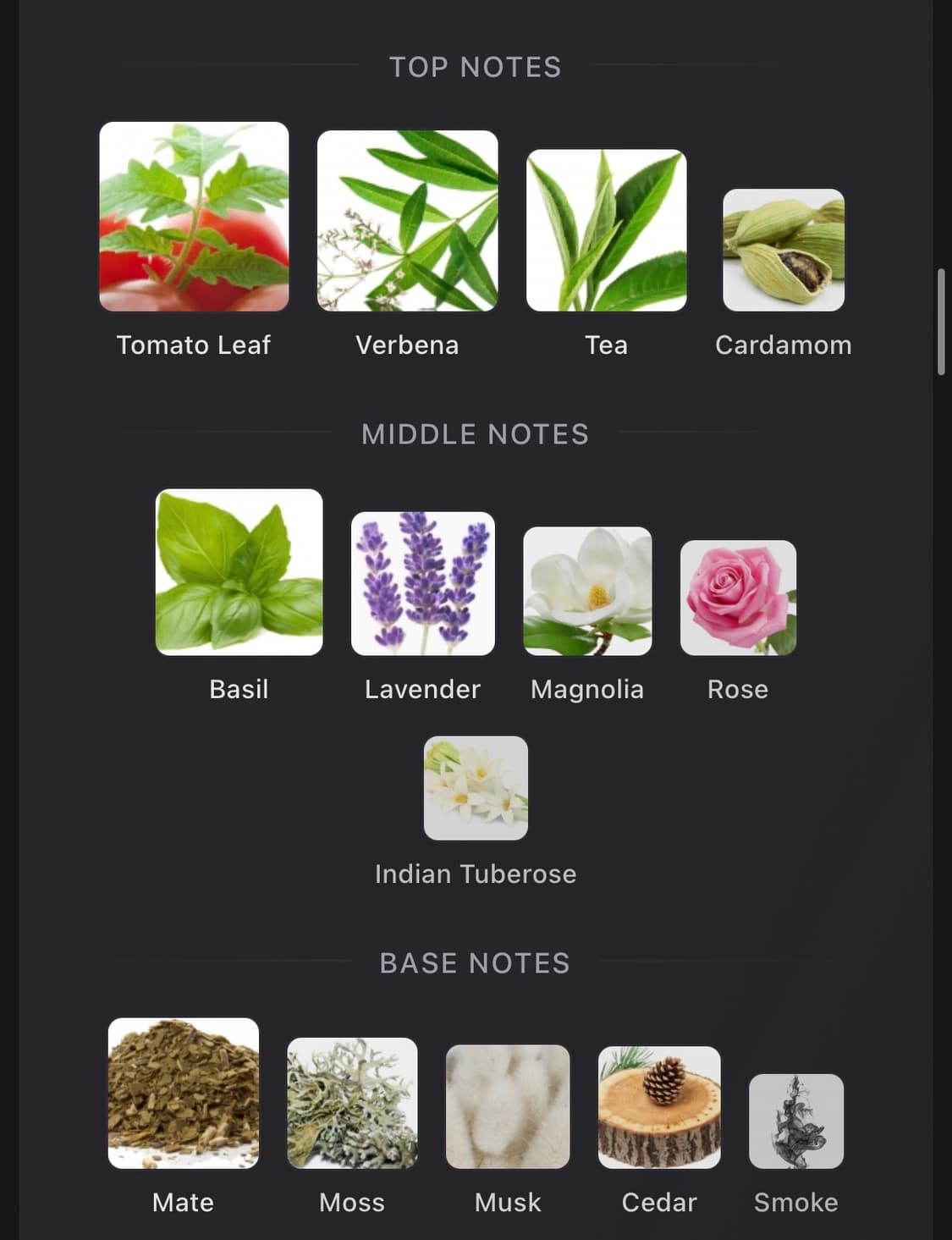 [국문택 풀박스] 밀러해리스 셀라돈 100ml 상품이미지4