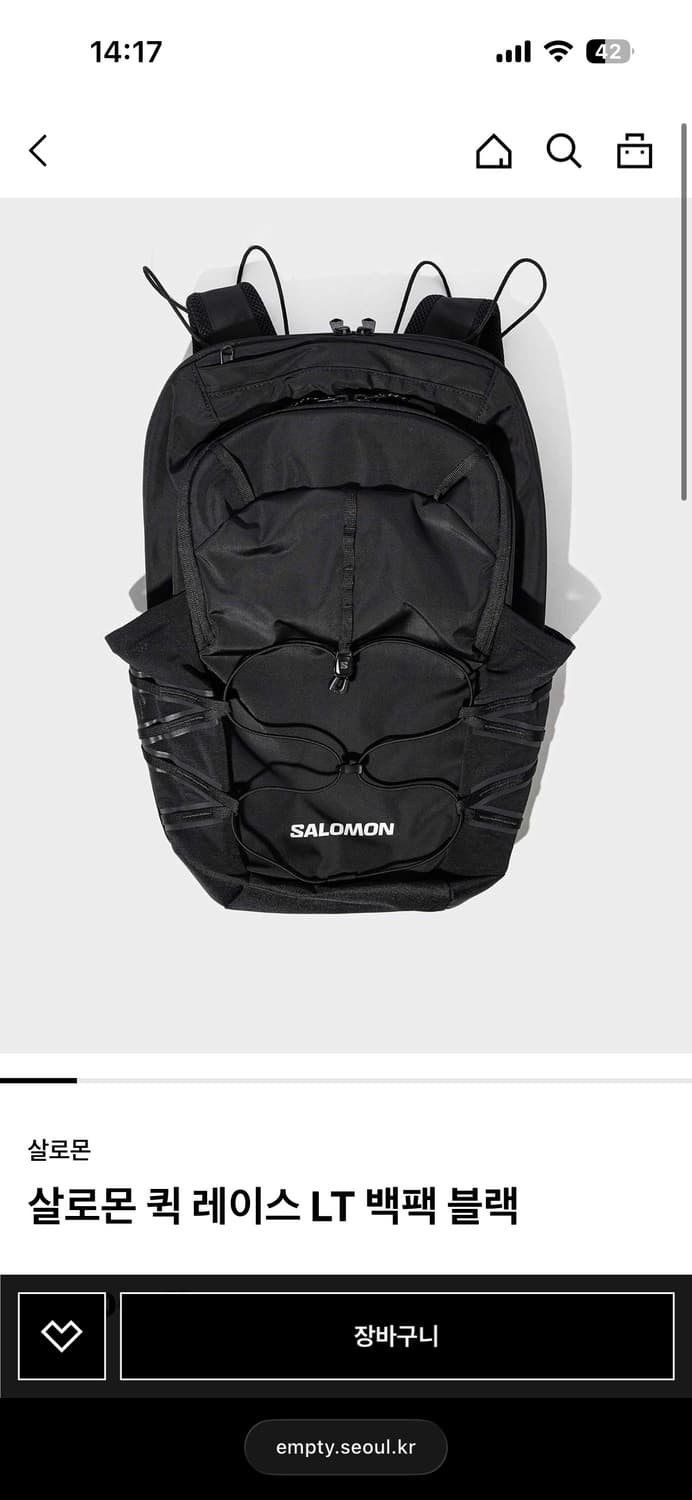 살로몬 퀵 레이스 LT 백팩 상품이미지2