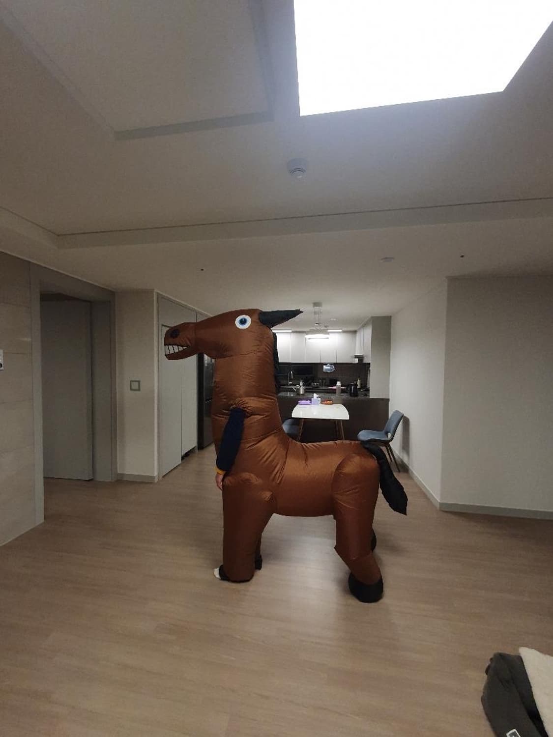 에어슈트 말 코스튬 상품이미지2