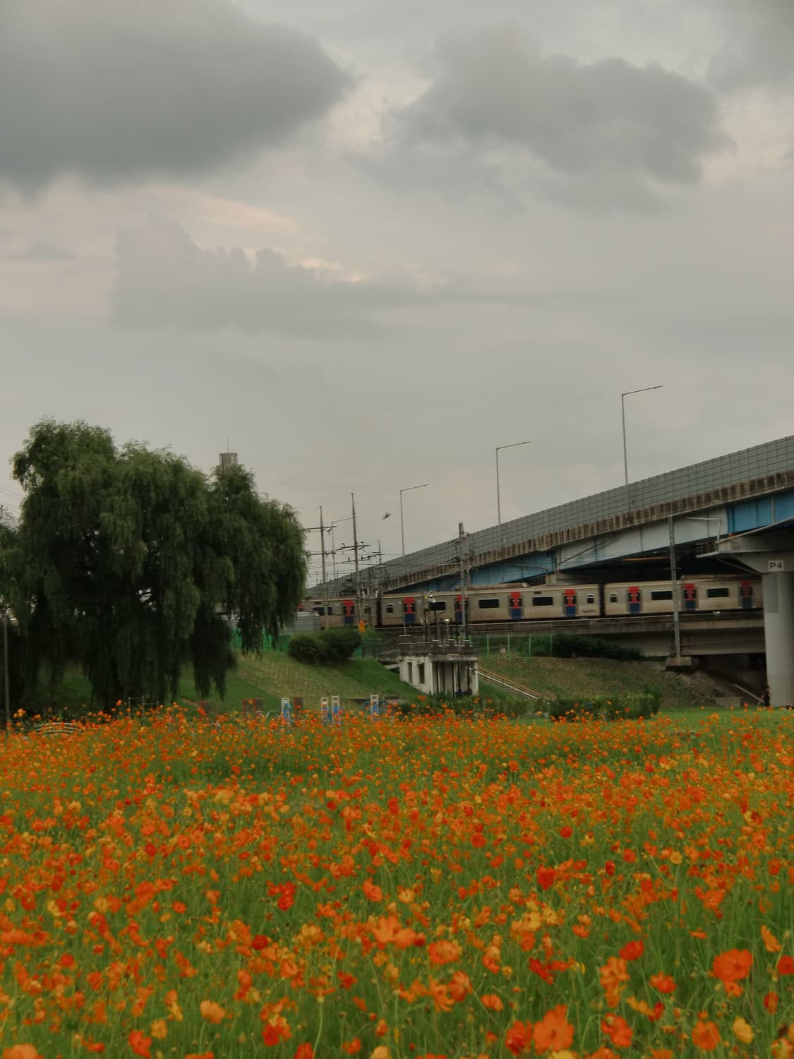 카시오 H10 판매합니다(풀박스,작례있음) 상품이미지3