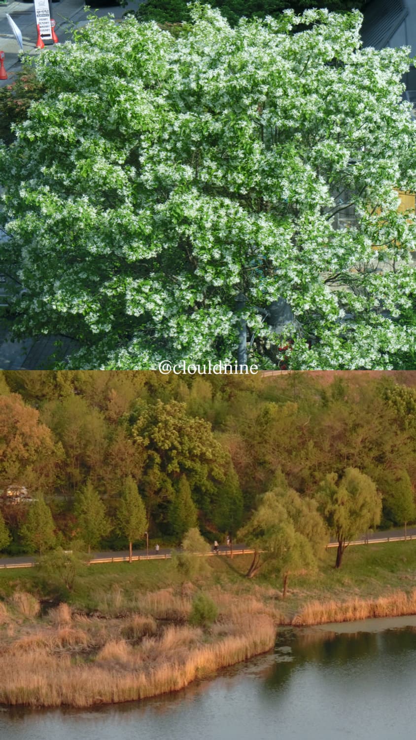 미품✨- 카시오 ex fc500s 블랙디카/ zr50/zr60 상품이미지8