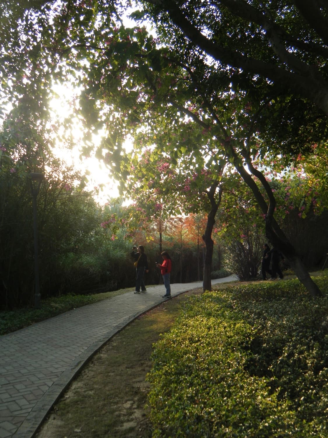 (작례o) 후지필름 파인픽스 Z30 | Fujifilm Finepix 상품이미지2