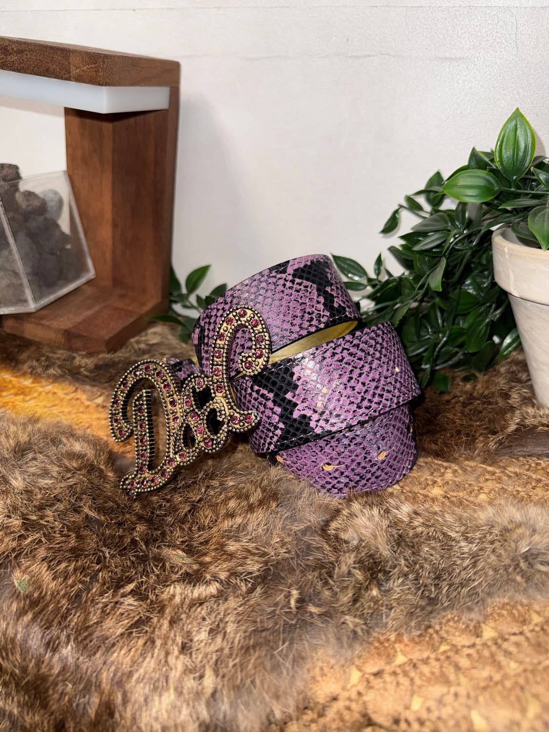 Dolce & Gabbana purple python cubic belt 상품이미지2