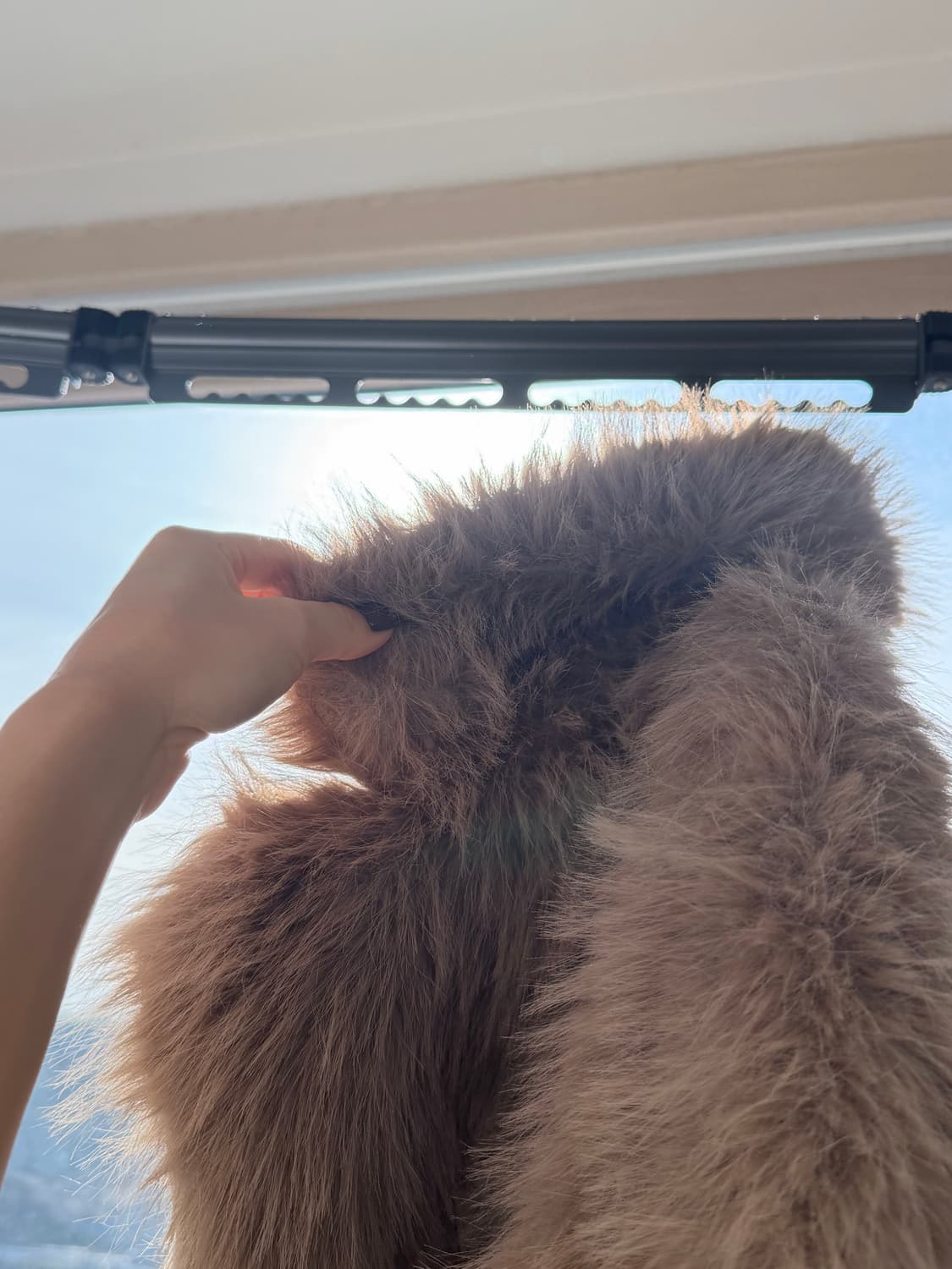 H&M 페이크 퍼 상품이미지7