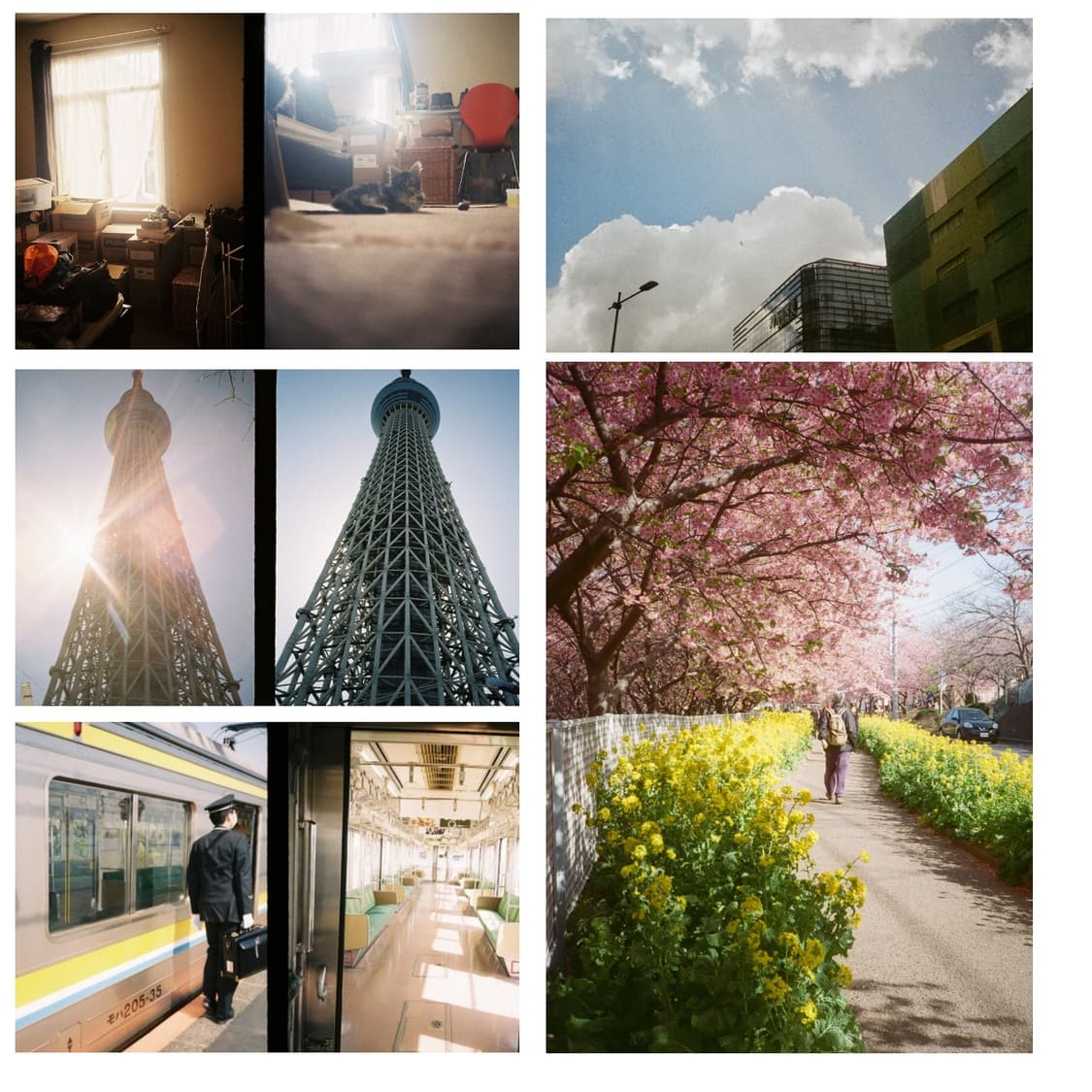 하프필름카메라 캐논 데미 (작례 0) 상품이미지3