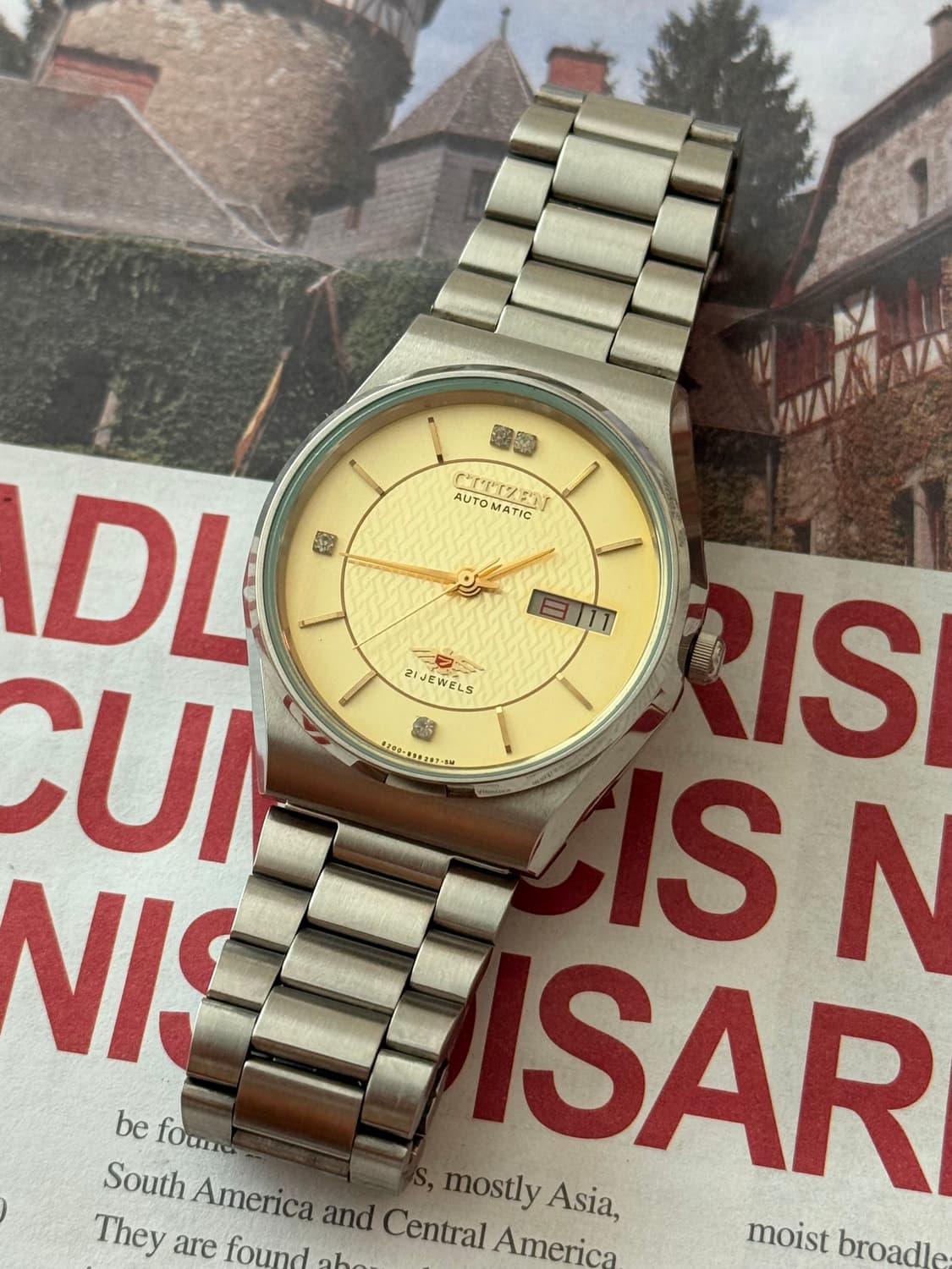 Citizen 시티즌 이글 오토매틱 데이-데이트 상품이미지1