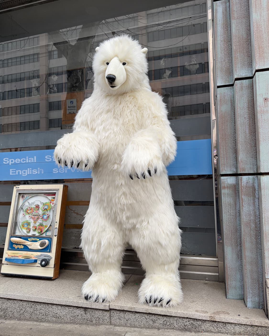 한사토이 2m 대형 북극곰 인형 상품이미지1