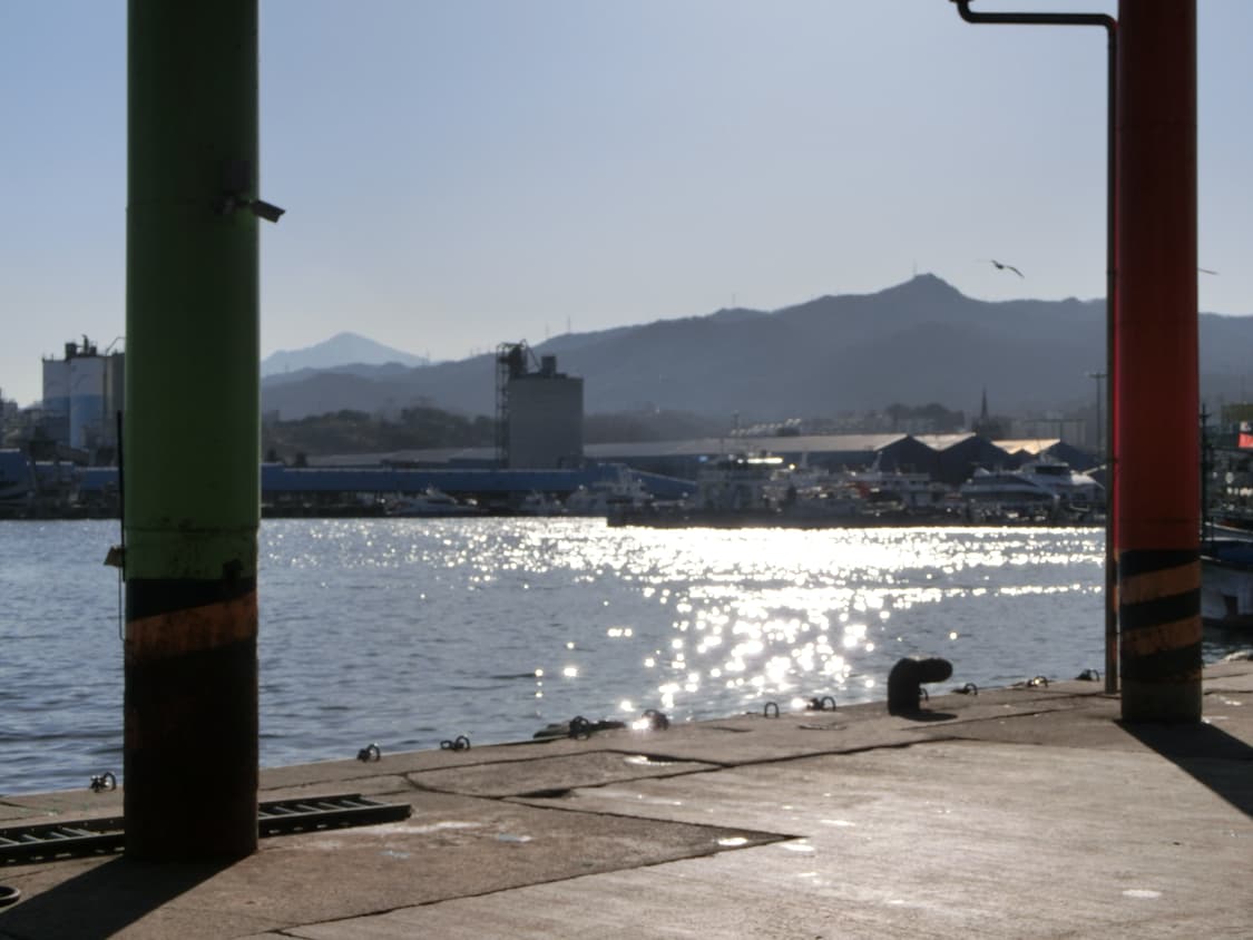 (틸트/작례) Casio zr1000 디스플레이 고장 디지털카메라 상품이미지3