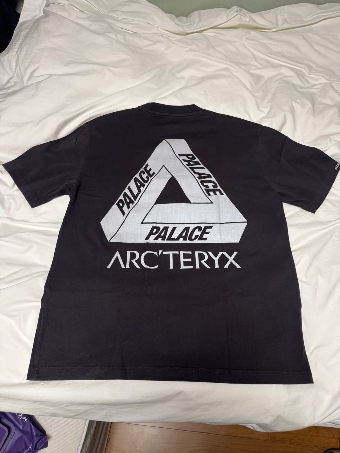 Palace x Arcteryx 팔라스 아크테릭스 티셔츠 상품이미지1