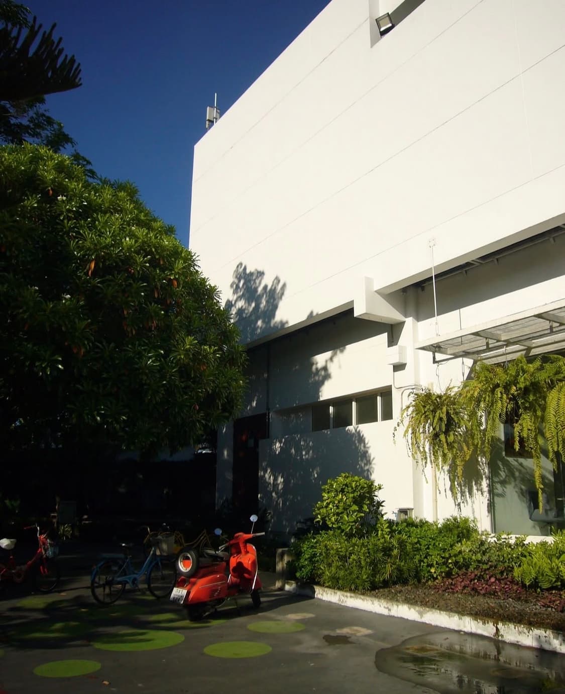 파나소닉 루믹스 fx01 디지털카메라 상품이미지9