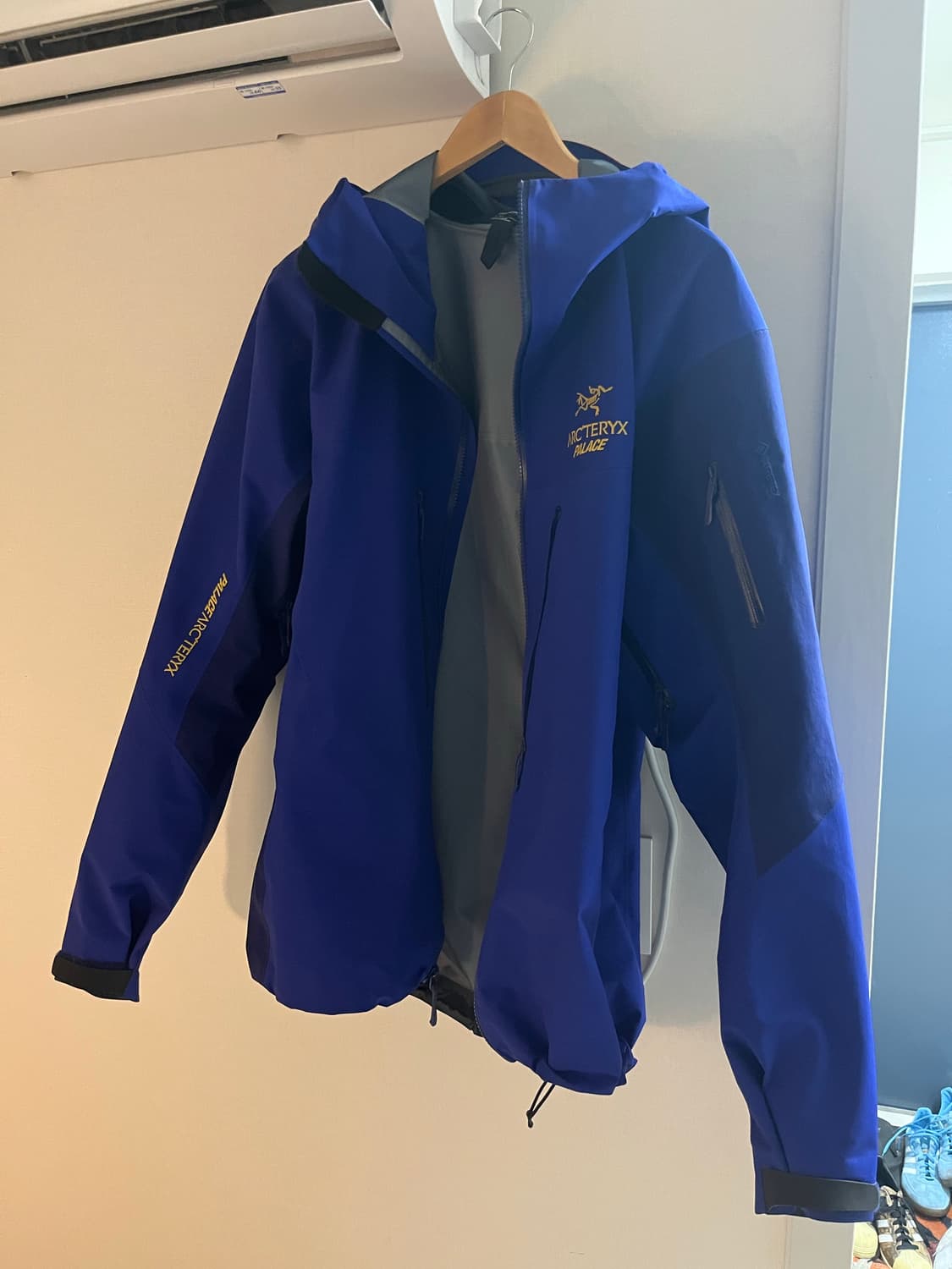 [L] 아크테릭스 x 팔라스 알파sv 자켓 상품이미지2