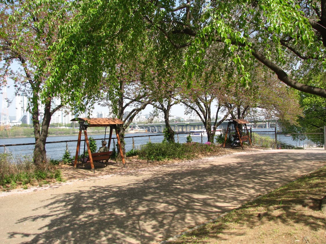 캐논 파워샷 S5 IS 상품이미지5