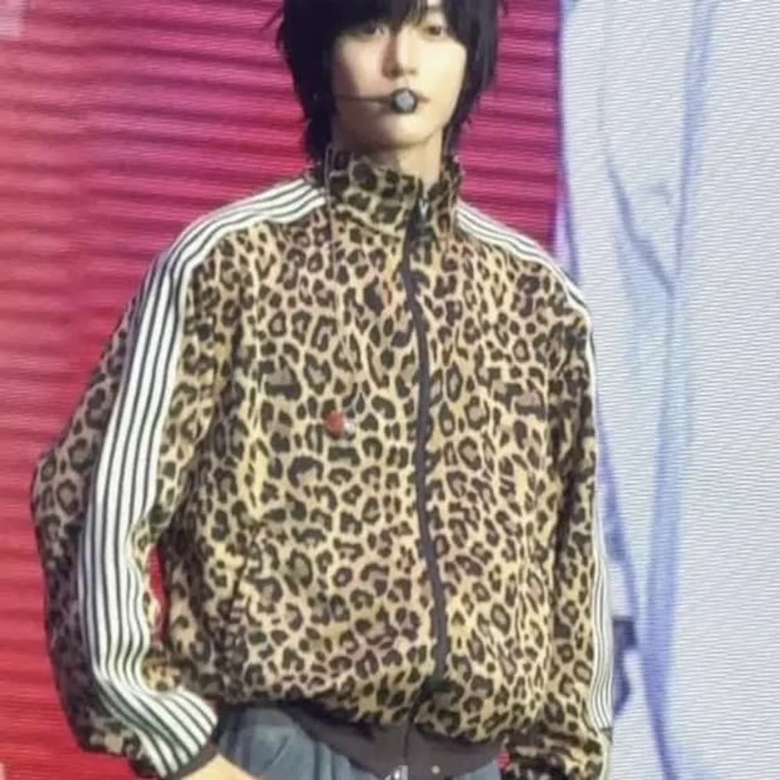 캐피탈 스무스 저지 레오파드 프린트 스턴트맨 앤 우먼 트랙 자켓 브라운 상품이미지3
