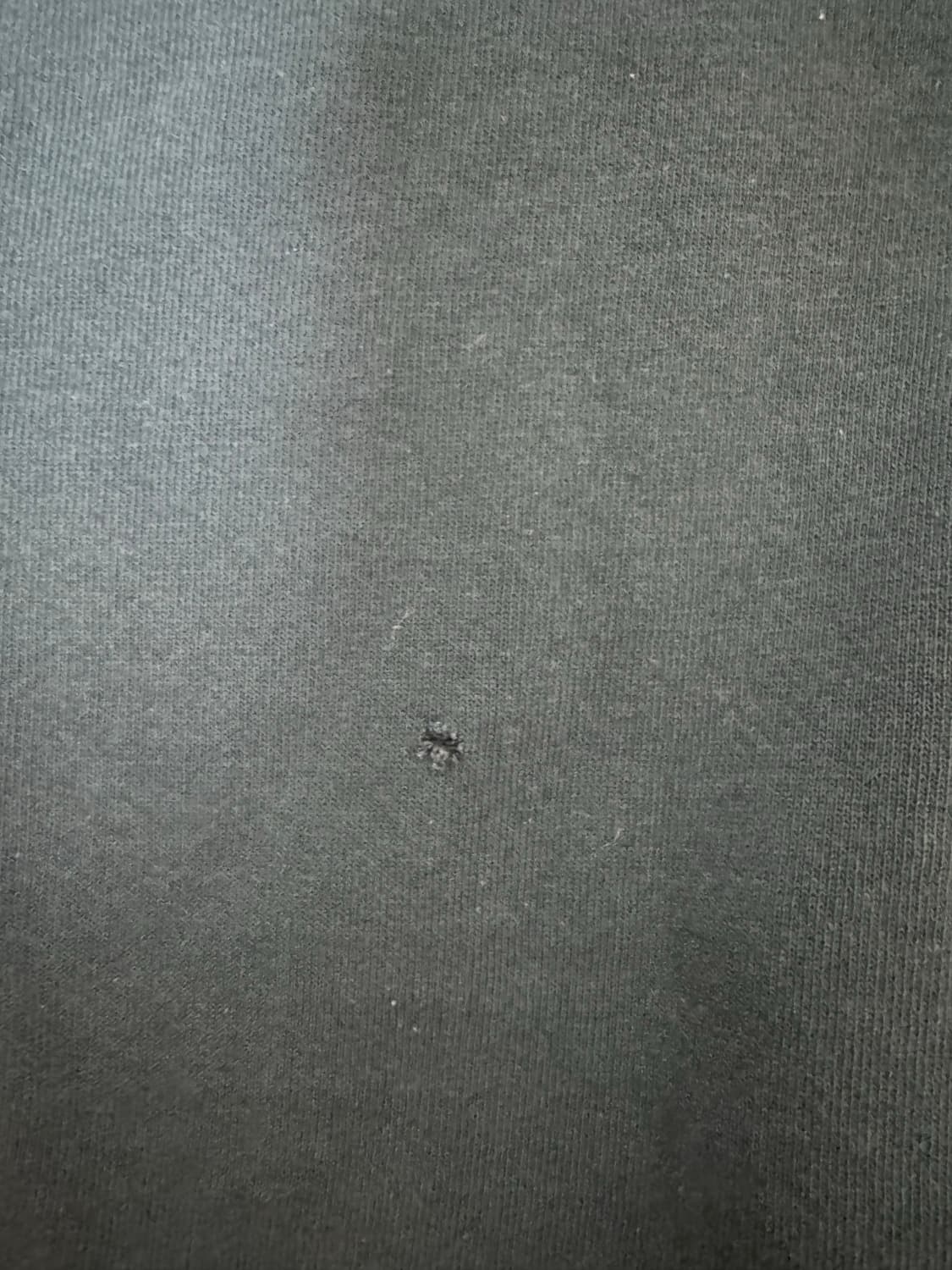 90s russell hoodie sage green 상품이미지3