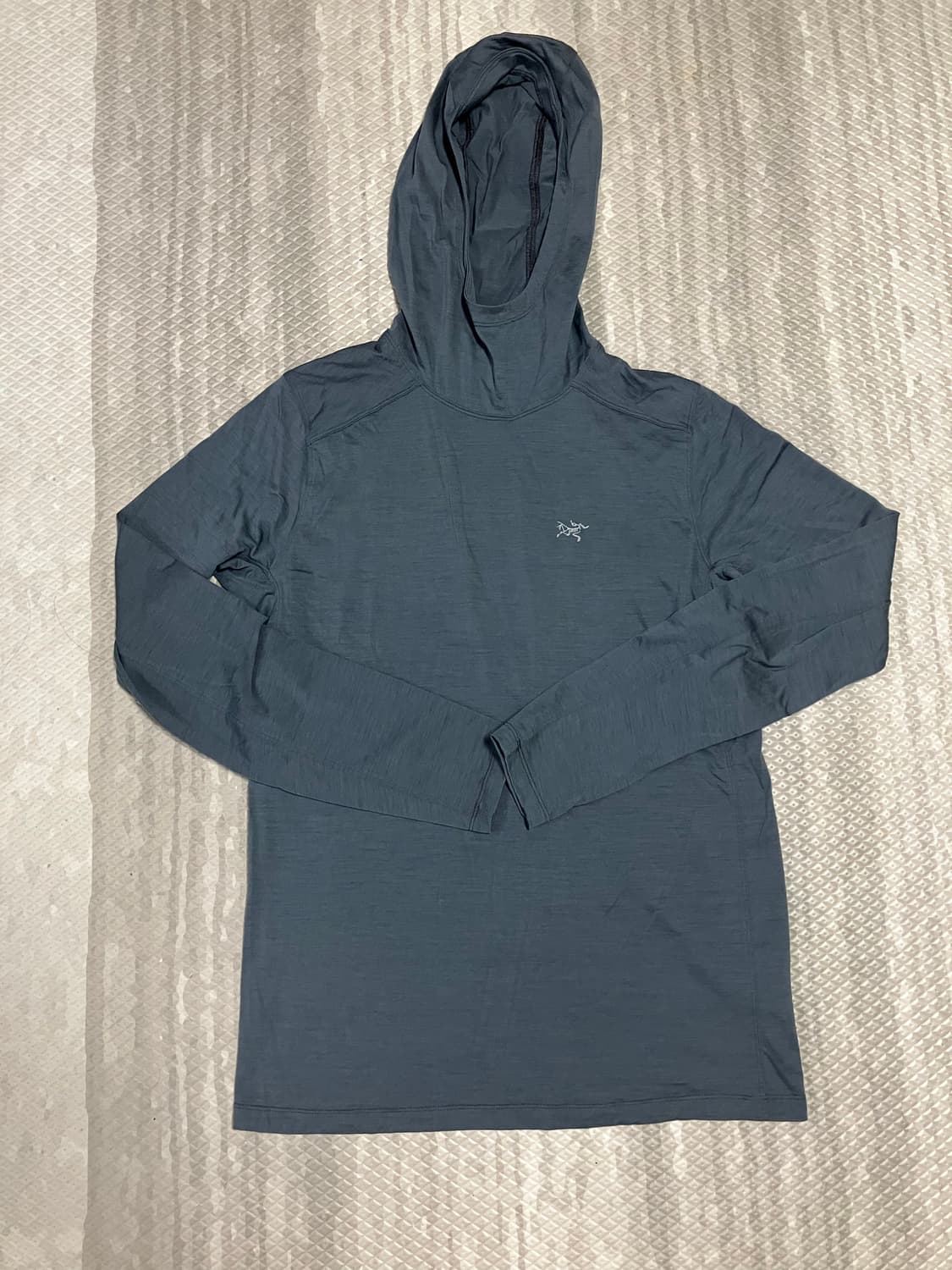 아크테릭스 후드 롱슬리브 상품이미지1