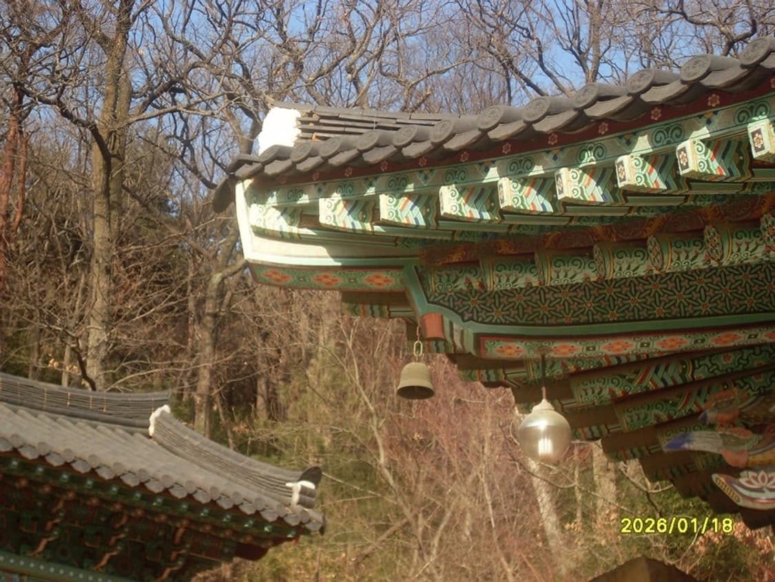 작례] 삼성 vluu l100 디지털 카메라 상품이미지8