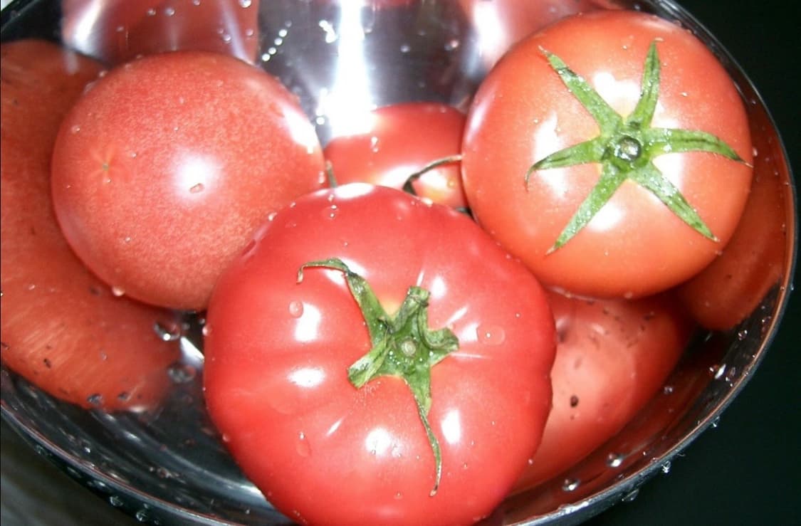 카시오 Casio QV-R40 디지털카메라 디카 상품이미지4