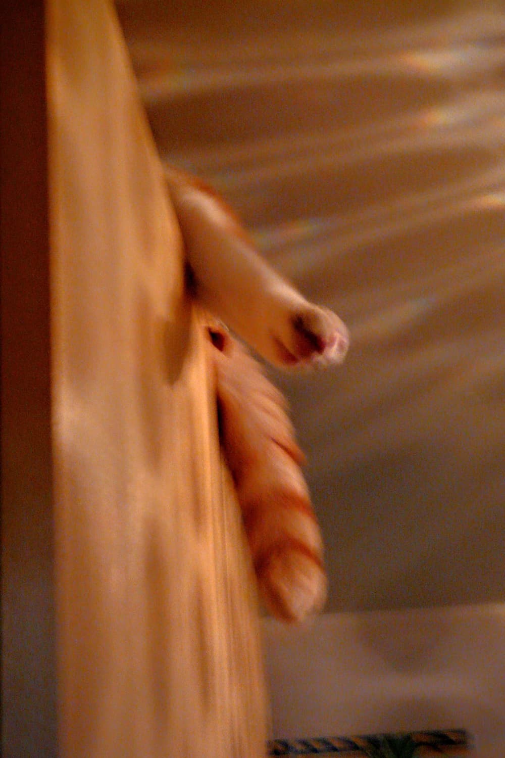 [라이카&뽀용!] 파나소닉 루믹스 DMC-FX07 디지털카메라 상품이미지8