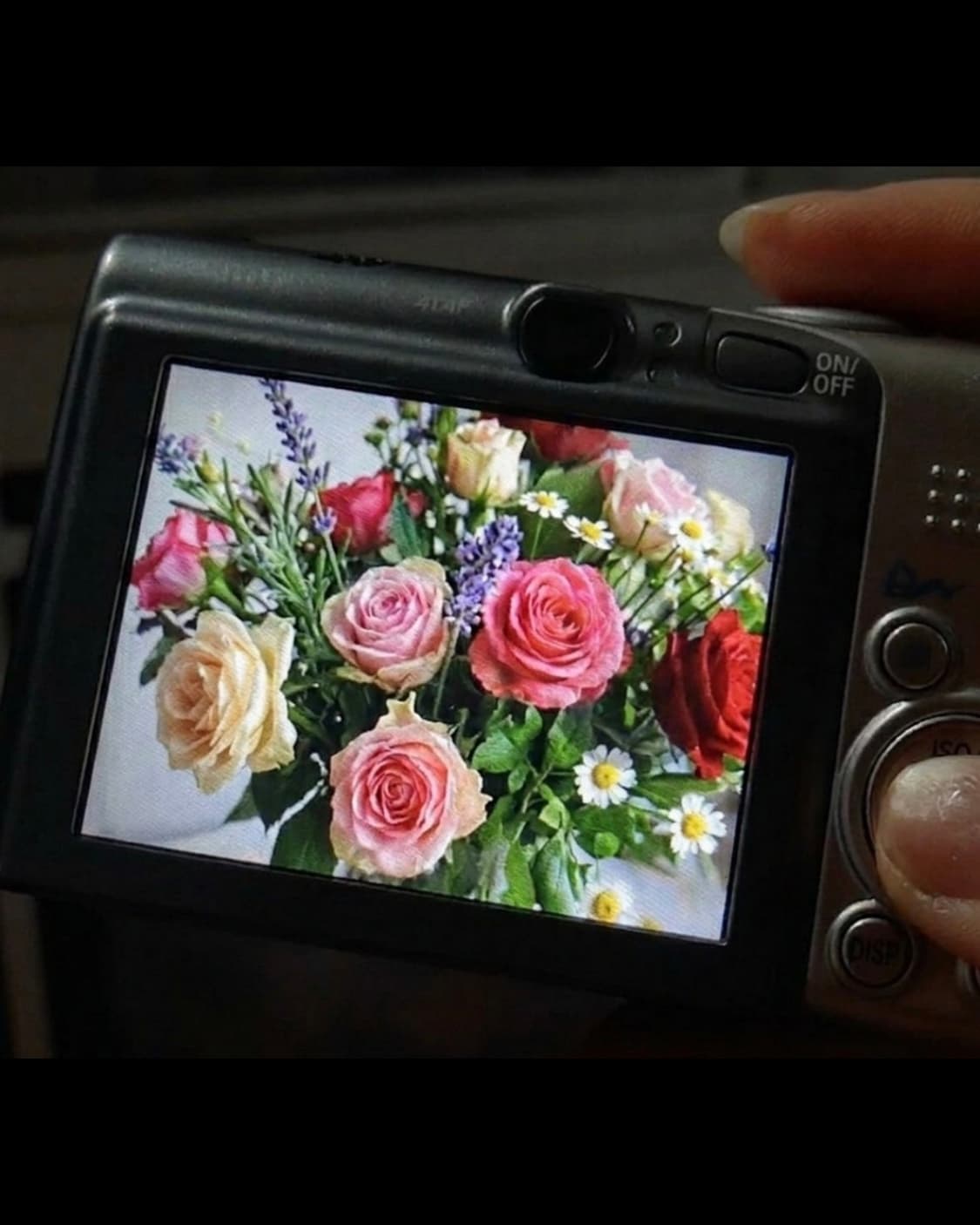 A급)캐논 익서스 950 CANON IXUS 950 빈티지 디지털카메라 상품이미지9