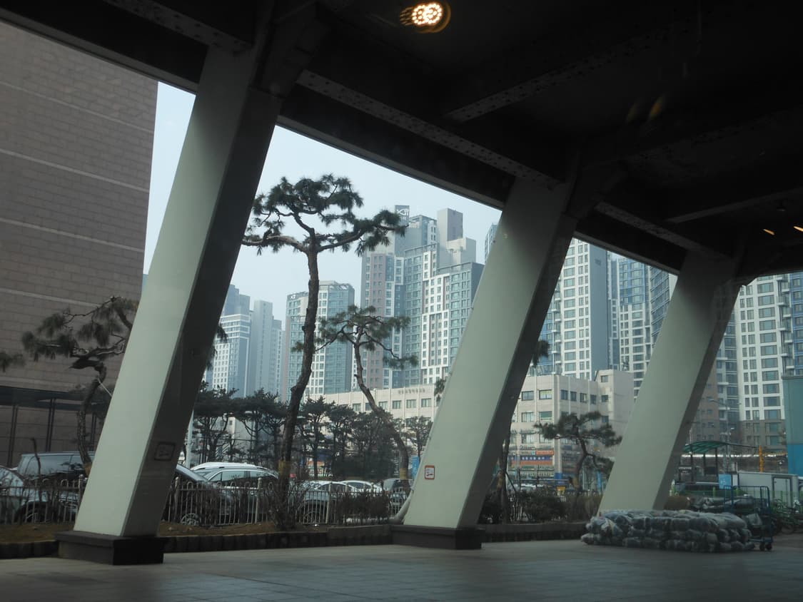 작례⭕️니콘 쿨픽스 Nikon CoolPix S6200 핫핑크 빈티지디카 상품이미지9