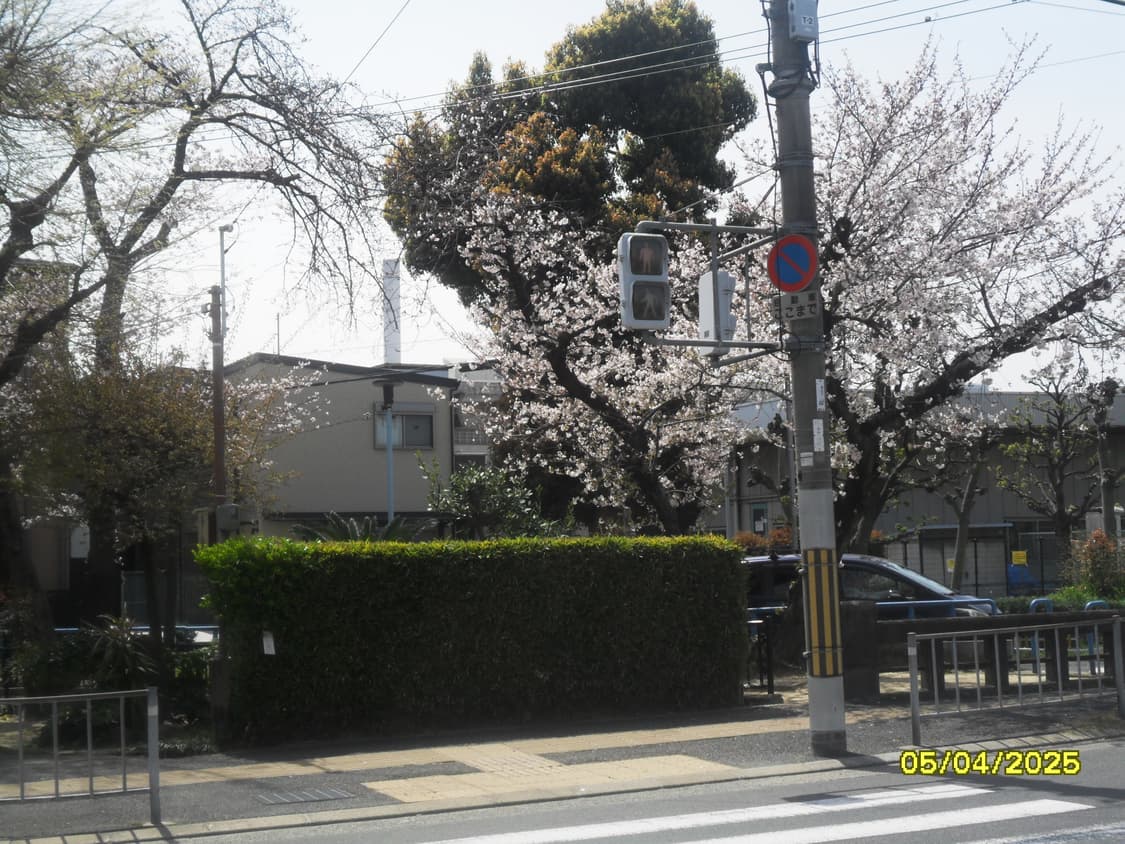 작례O) 삼성 VLUU ES70 상품이미지10