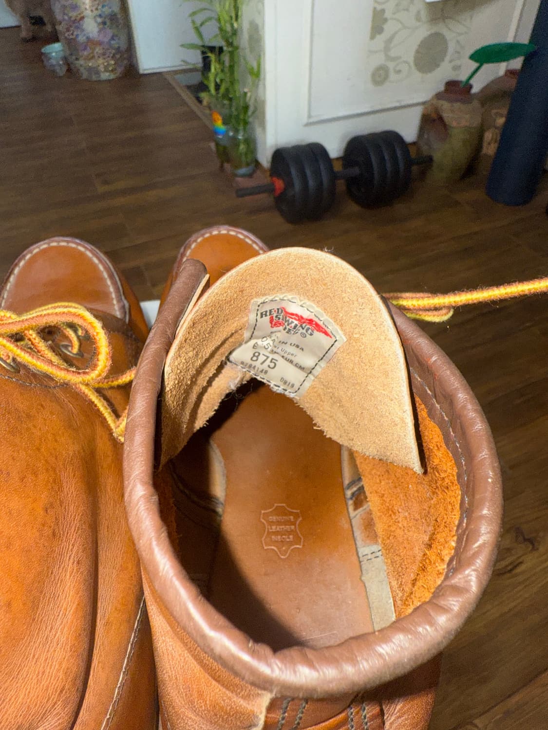 레드윙 875 목토 10.5  상품이미지9