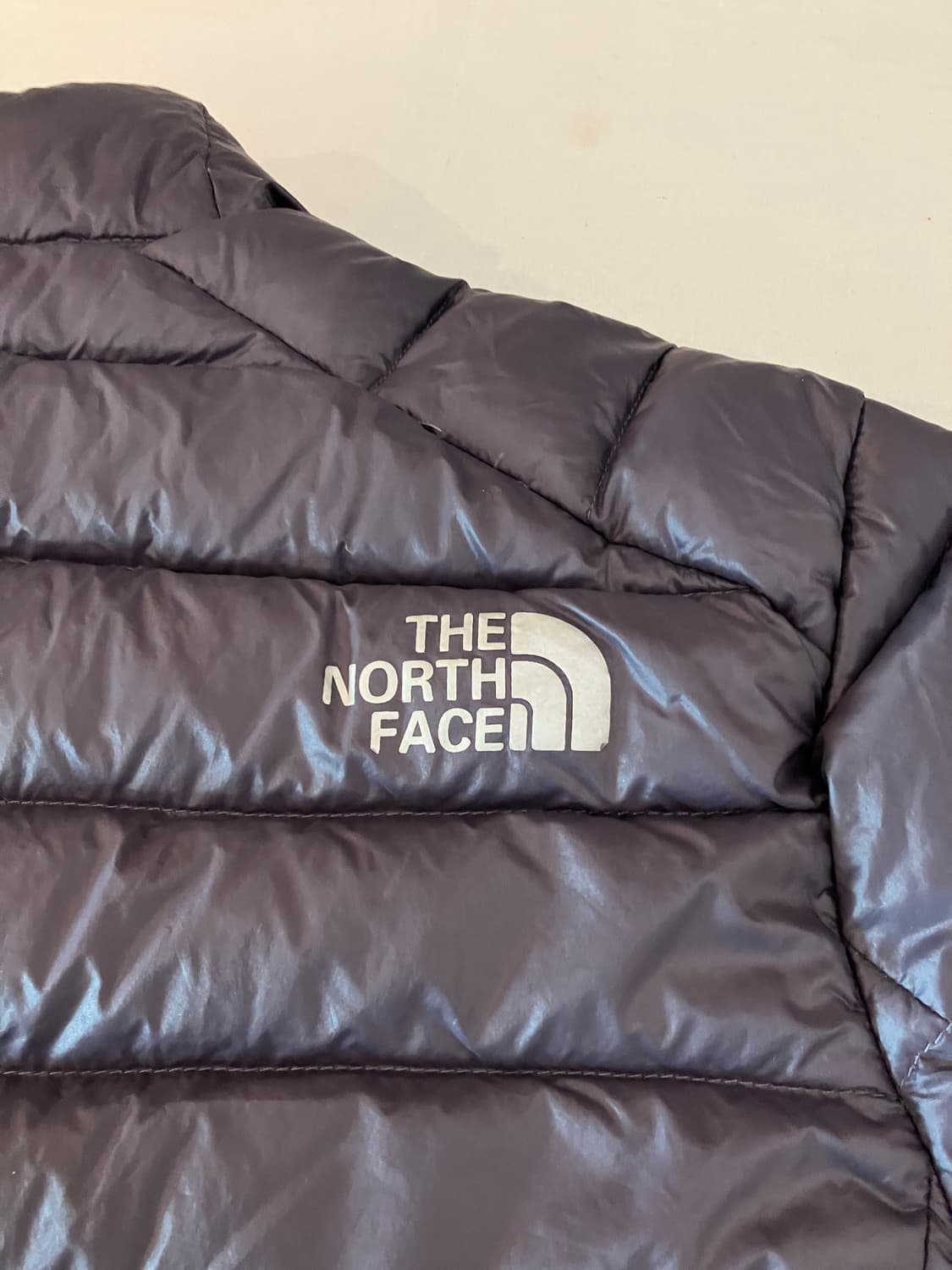 대대장 노스페이스 써밋800필 구스다운 경량패딩 상품이미지4