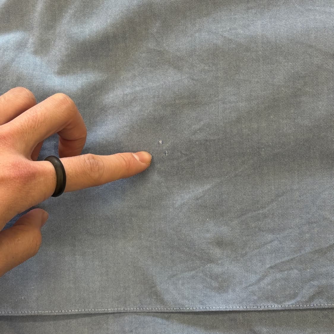 2 버버리 블랙라벨 카라티셔츠 상품이미지5