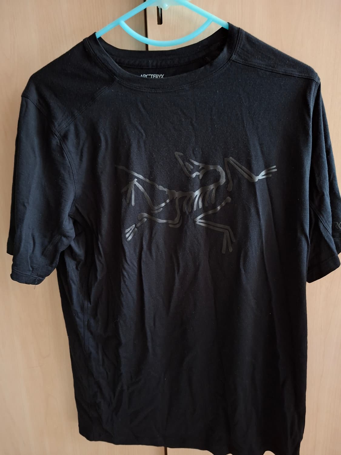 아크테릭스 이오니아 메리 올로고 셔츠ss맨 상품이미지2