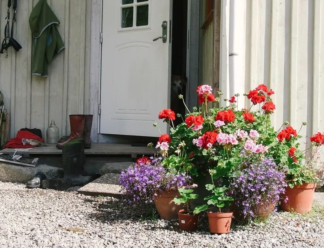 미품✨️박스풀셋🌸 FinePix Z3  (후지필름 파인픽스 Z3) 핑크 상품이미지5