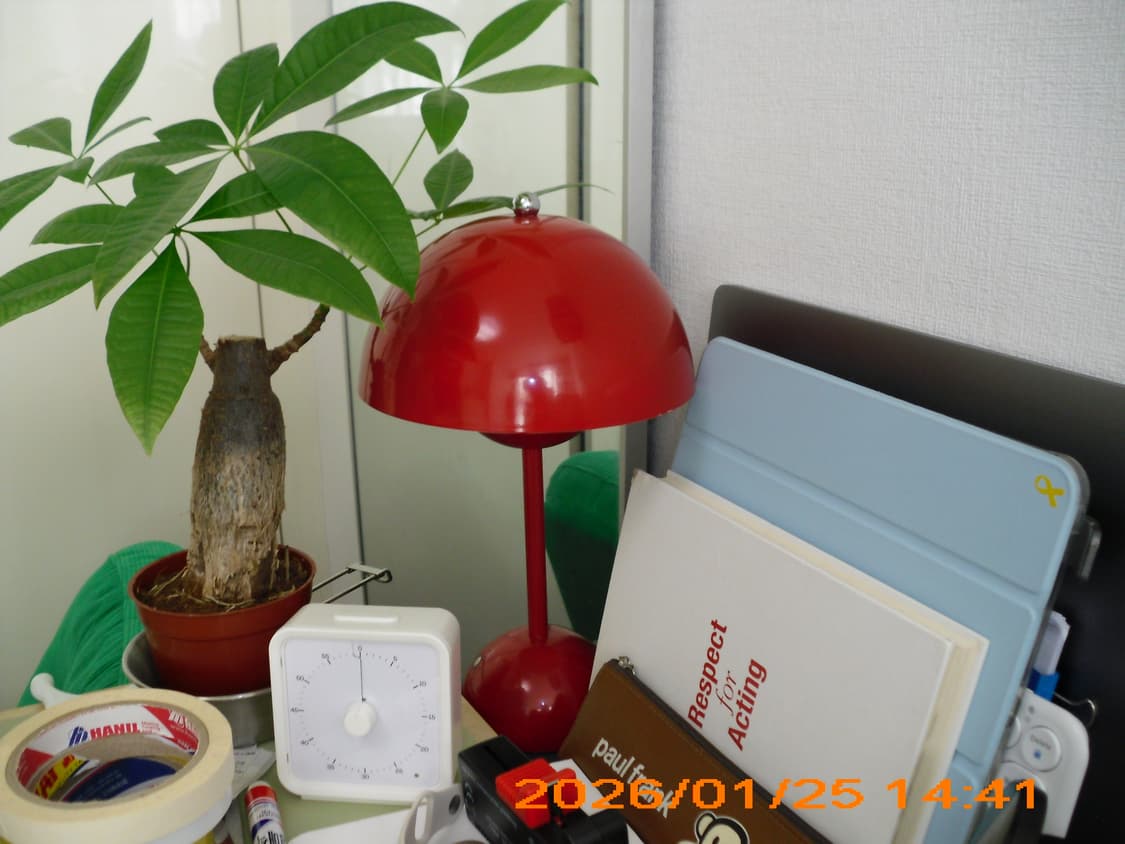 폴라로이드 t1035 빈티지 디지털카메라 상품이미지9