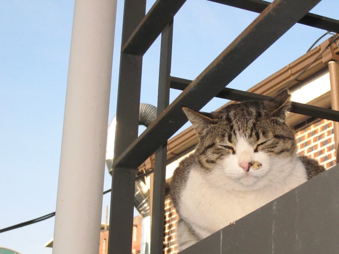 *한글/미품*익서스850is (파워샷sd800is) _작례있음 상품이미지9