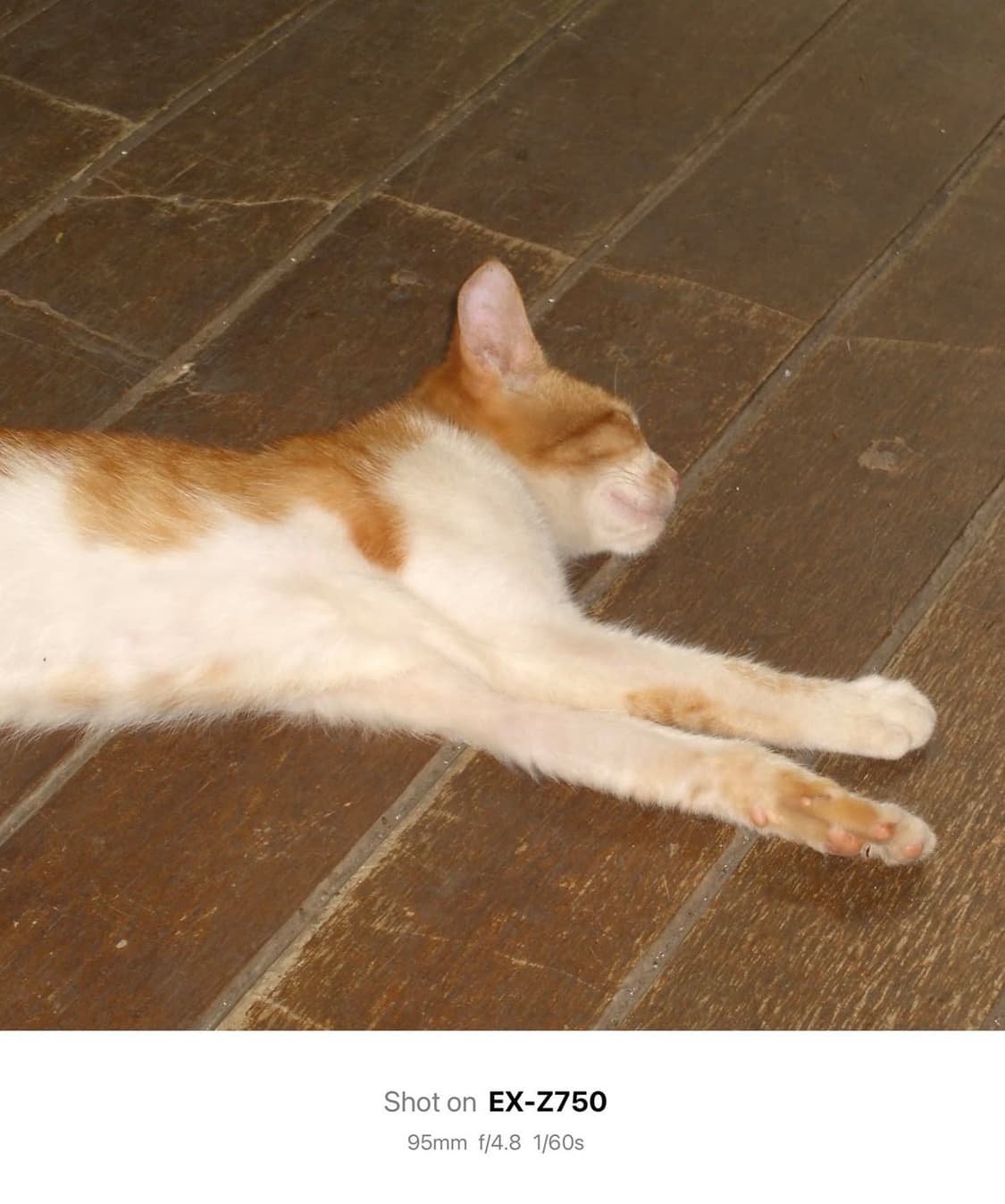 카시오 엑실림 ex z750 디지털카메라 상품이미지9