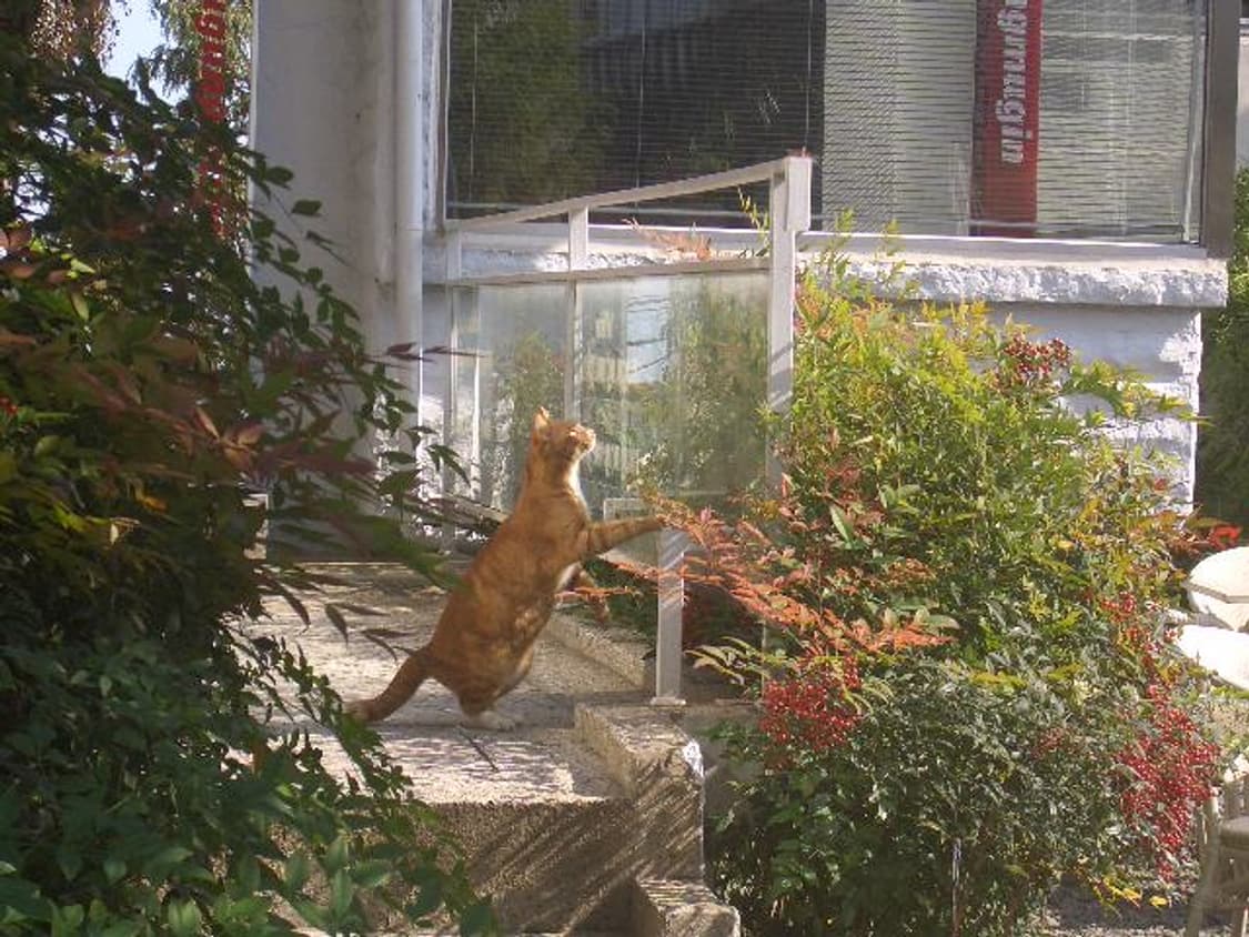 ex-z55 상품이미지1