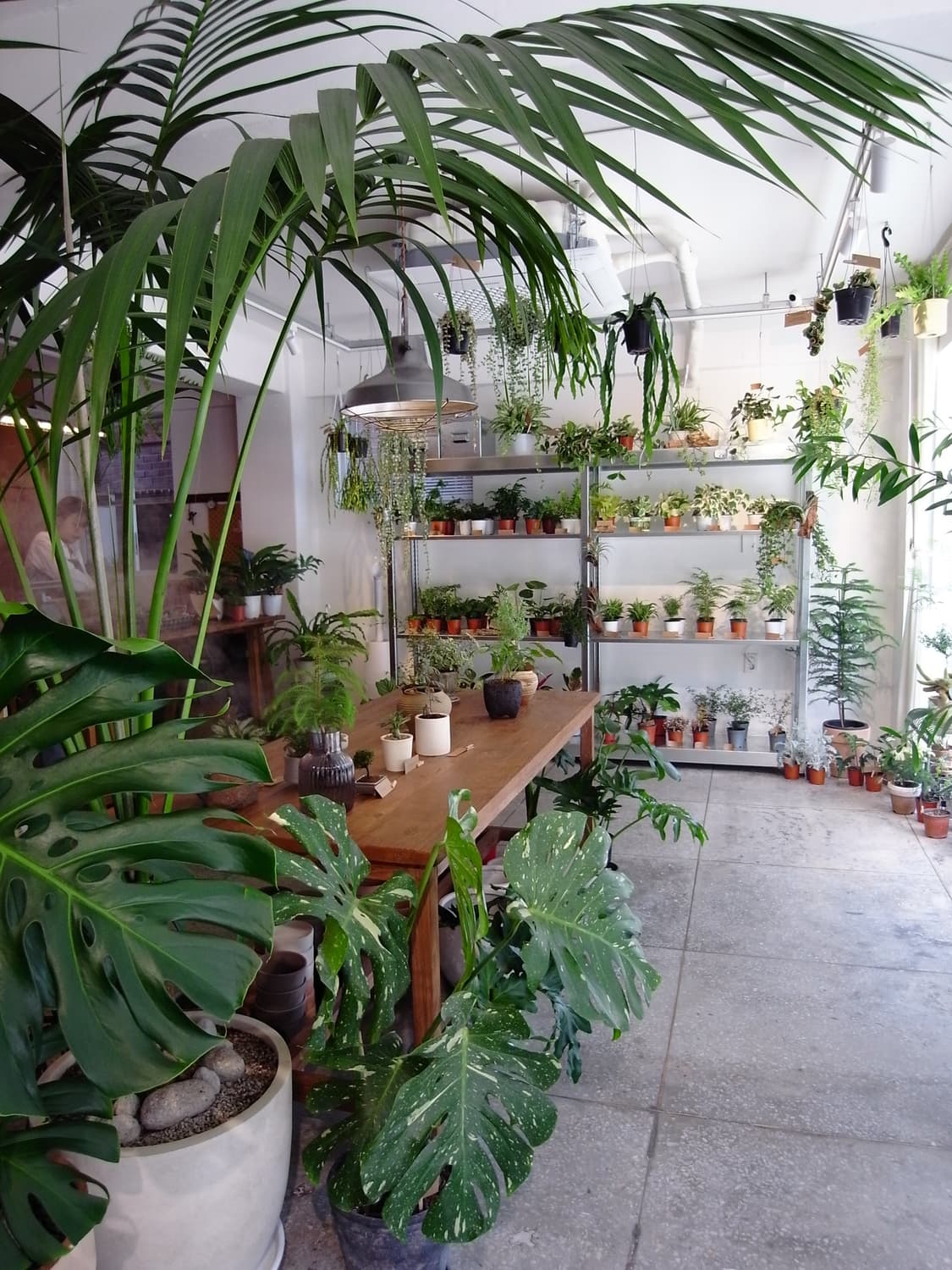 [A급] 후지 JX200 실버 (작례o)  상품이미지5