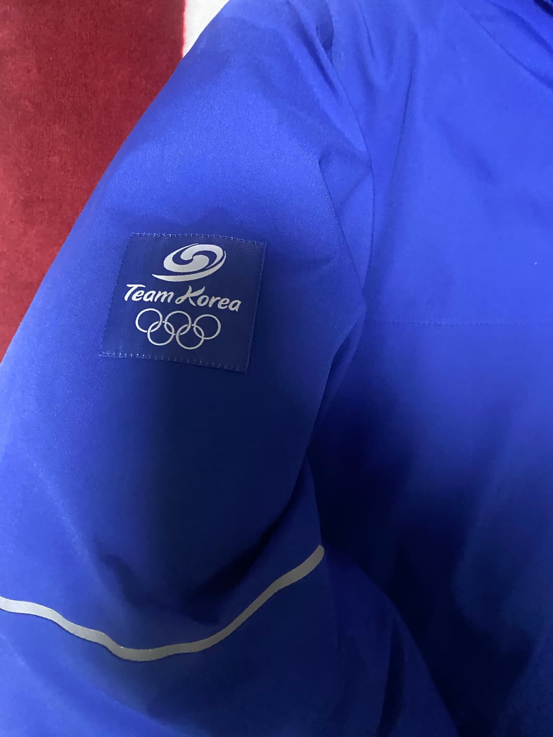 노스페이스 팀코리아 패딩 상품이미지3