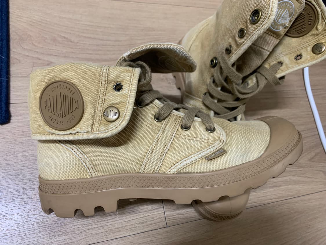 팔라디움 팜파하이 사막화 판매 합니다 상품이미지5