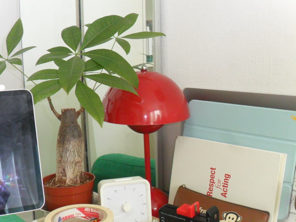 삼성 PL20 빈티지 디지털카메라 상품이미지9