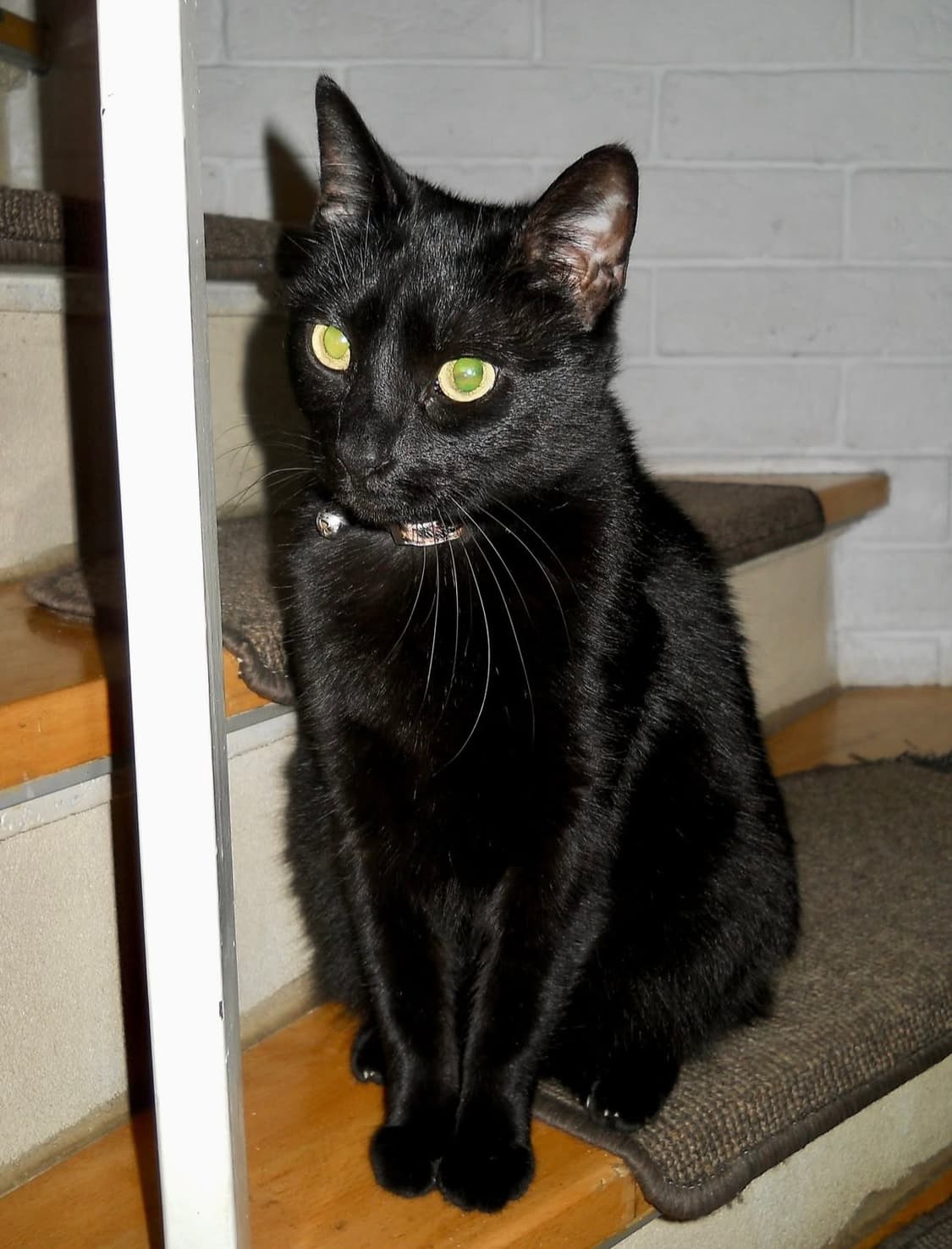 니콘 쿨픽스 nikon coolpix L21 디카 디지털카메라 상품이미지5