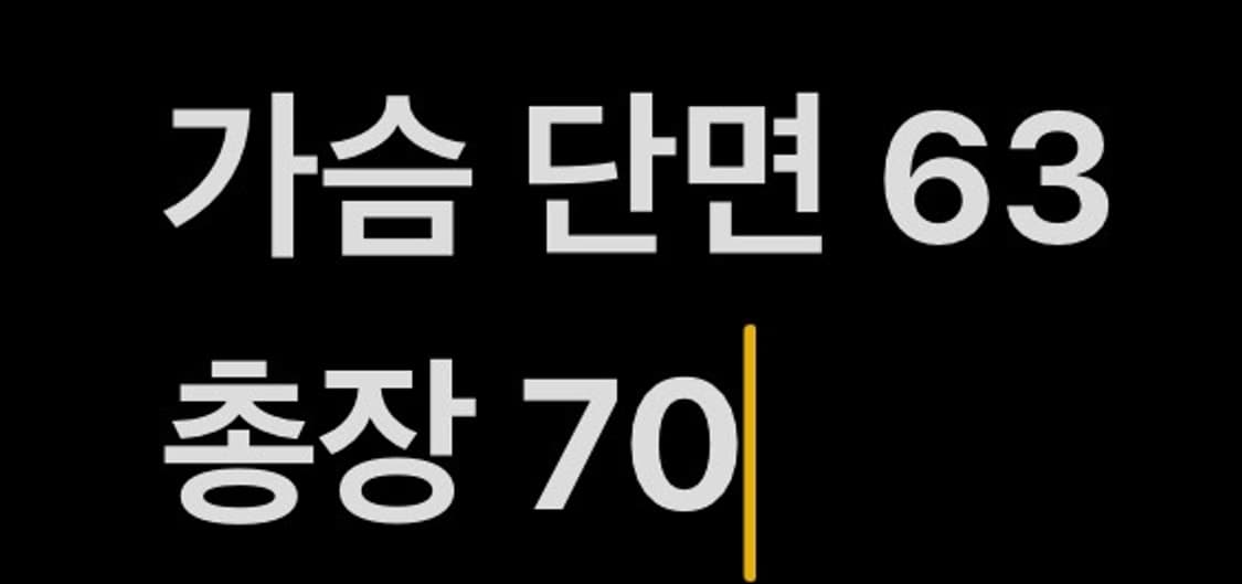 [ 정품/5 ] 롯데 자이언츠 우븐 반팔 웜업 b14 상품이미지7