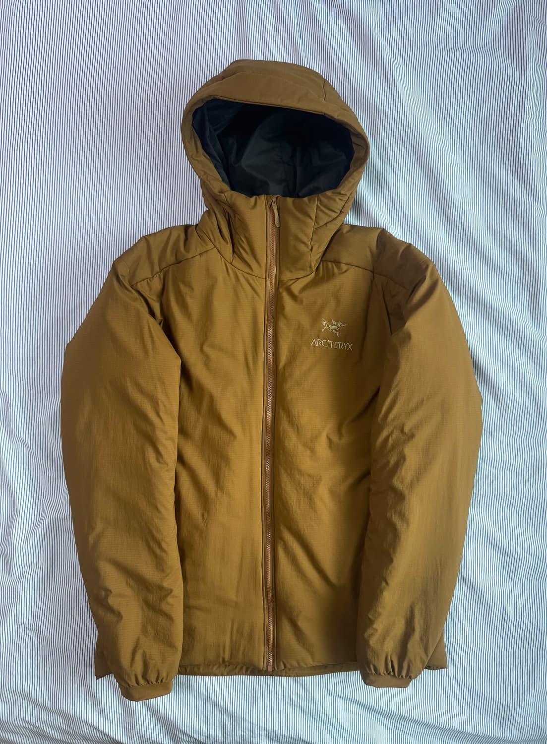 (민트급) 아크테릭스 아톰 AR 후디 렐릭 M 상품이미지3