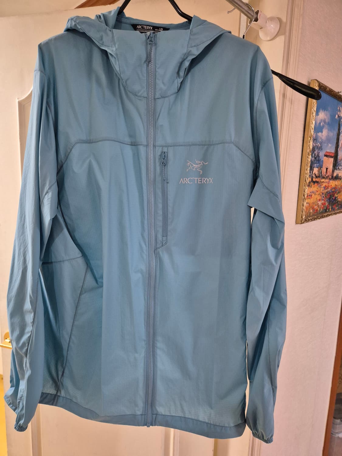 아크테릭스 스쿼미시 솔레스 L 상품이미지2