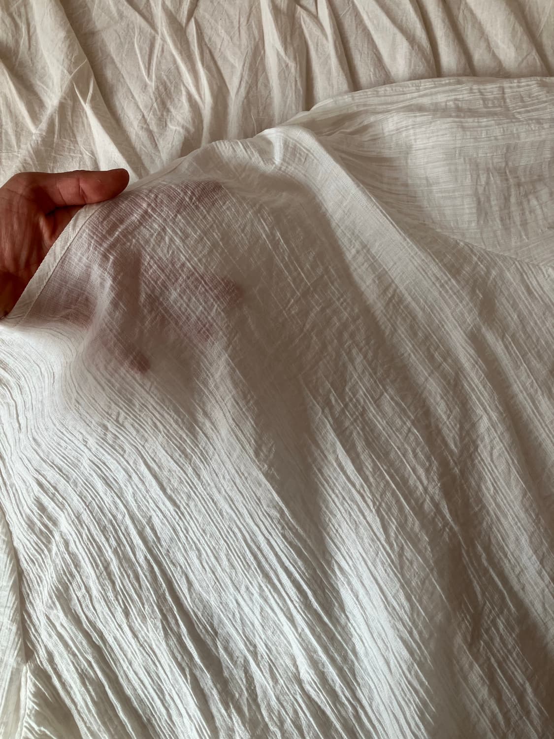 화이트 셔링 반팔 블라우스 상품이미지3